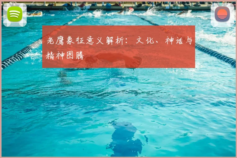 老鹰象征意义解析：文化、神话与精神图腾
