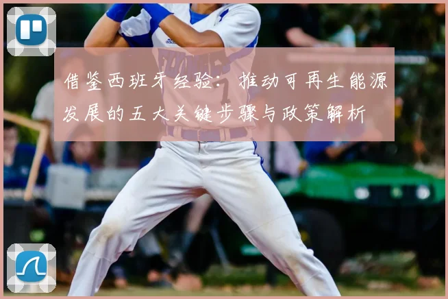 借鉴西班牙经验：推动可再生能源发展的五大关键步骤与政策解析